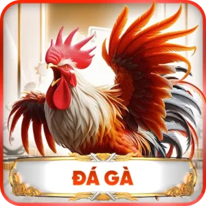 Đá Gà DN88 – Không Gian Đá Gà Trực Tuyến Giàu Sức Hút No.01